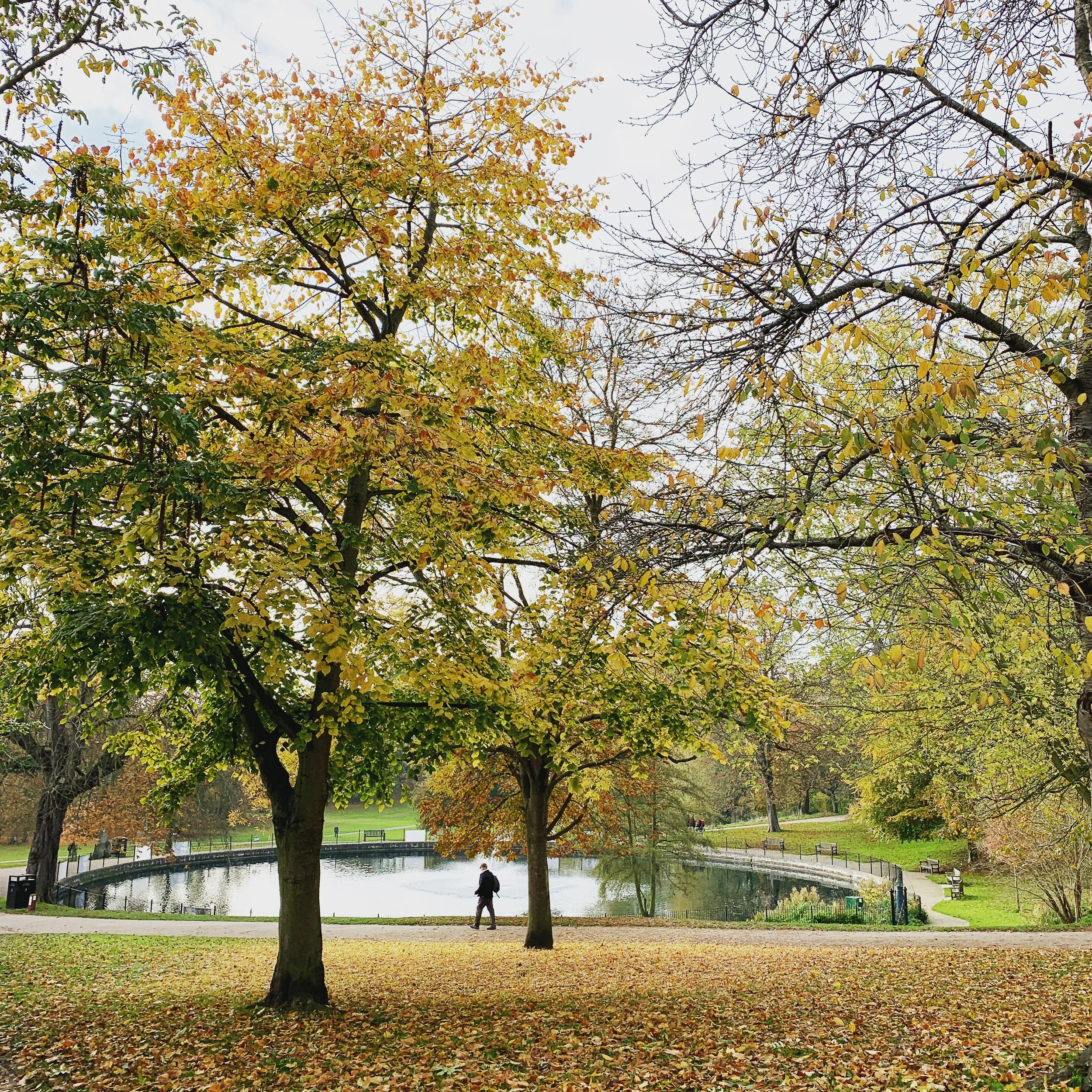IPSWICH. Park. pond.JPG