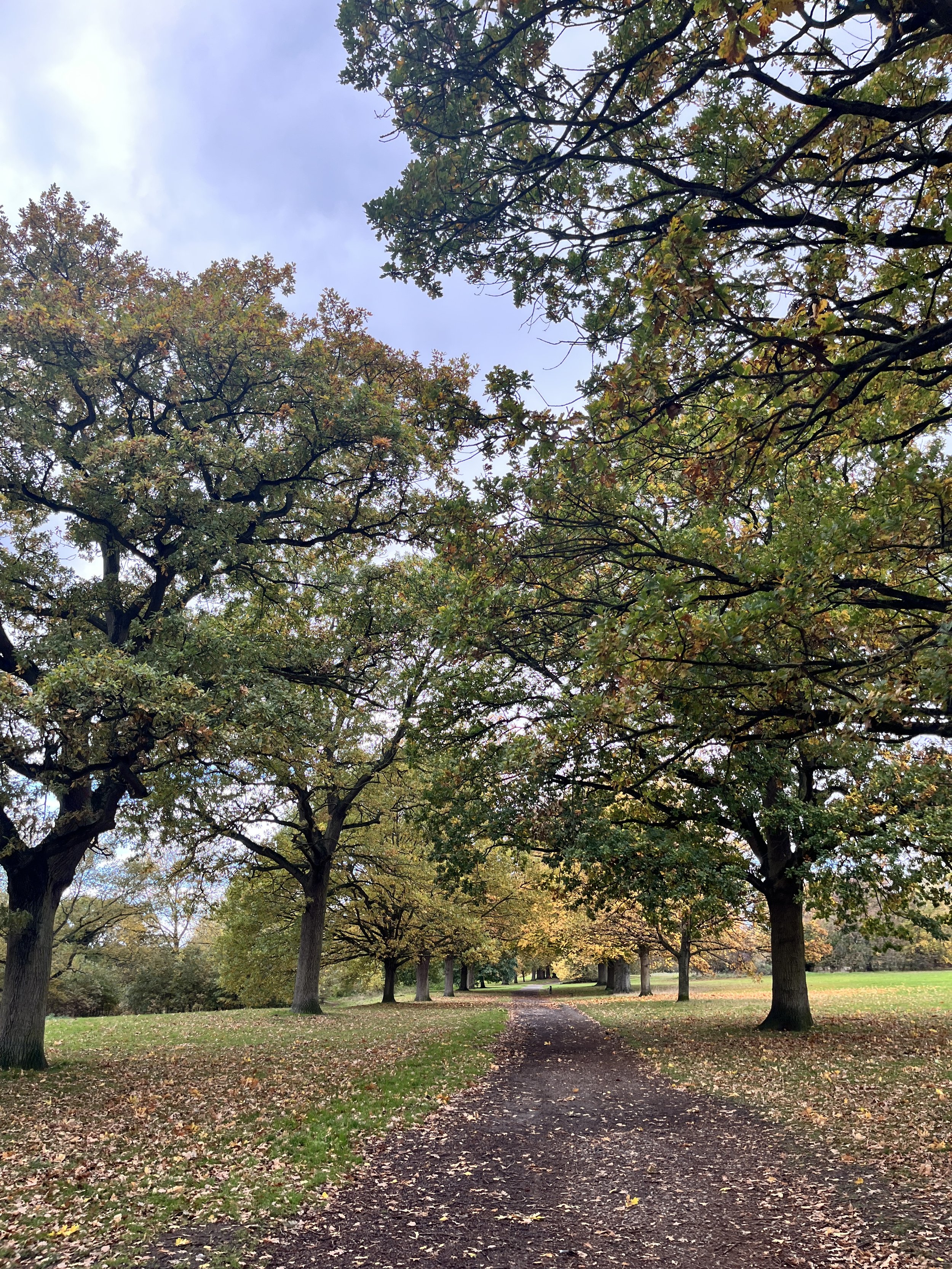 BournePark_ Ipswich_9905.JPG