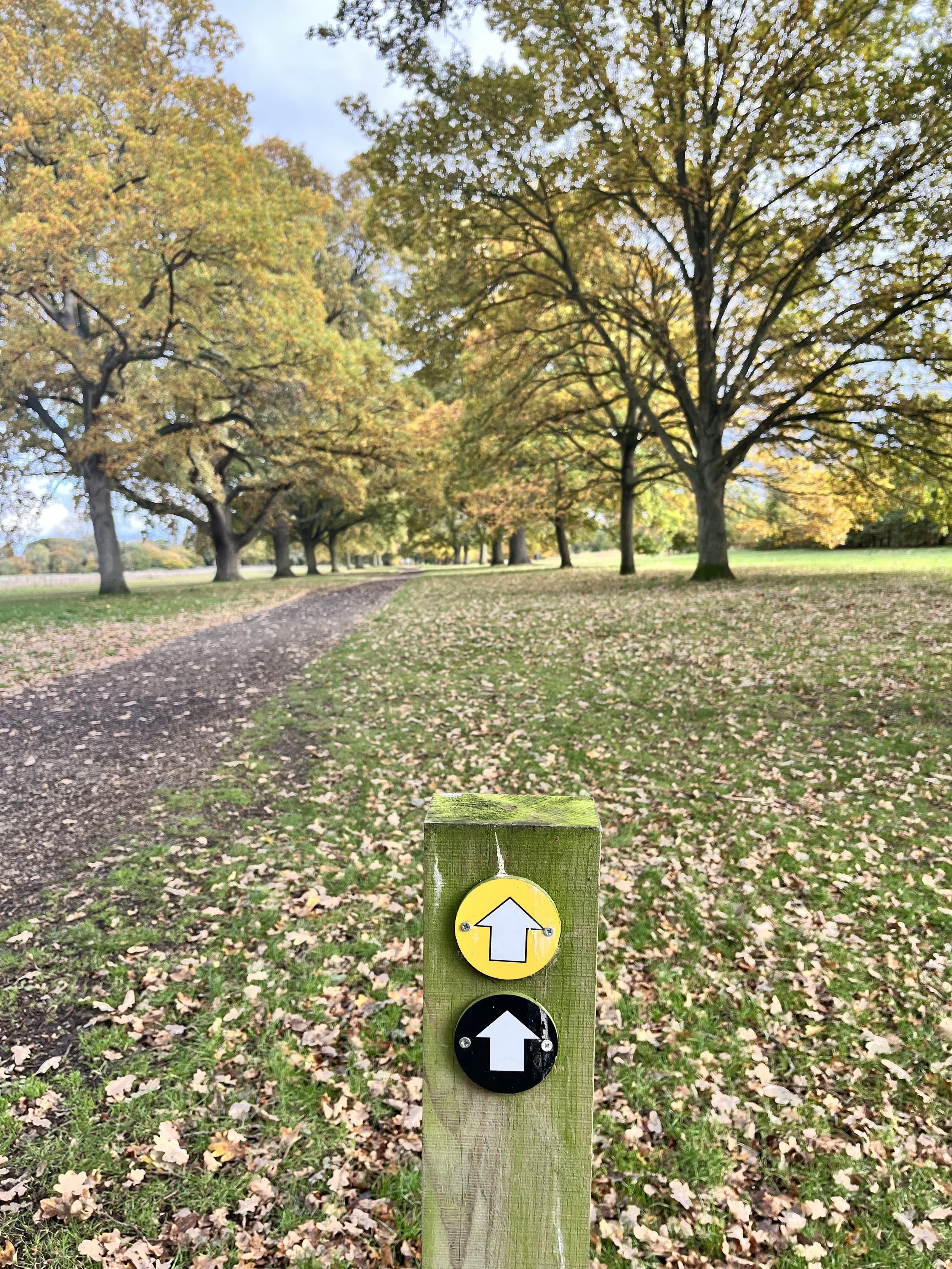 BournePark_ Ipswich_9934.JPG