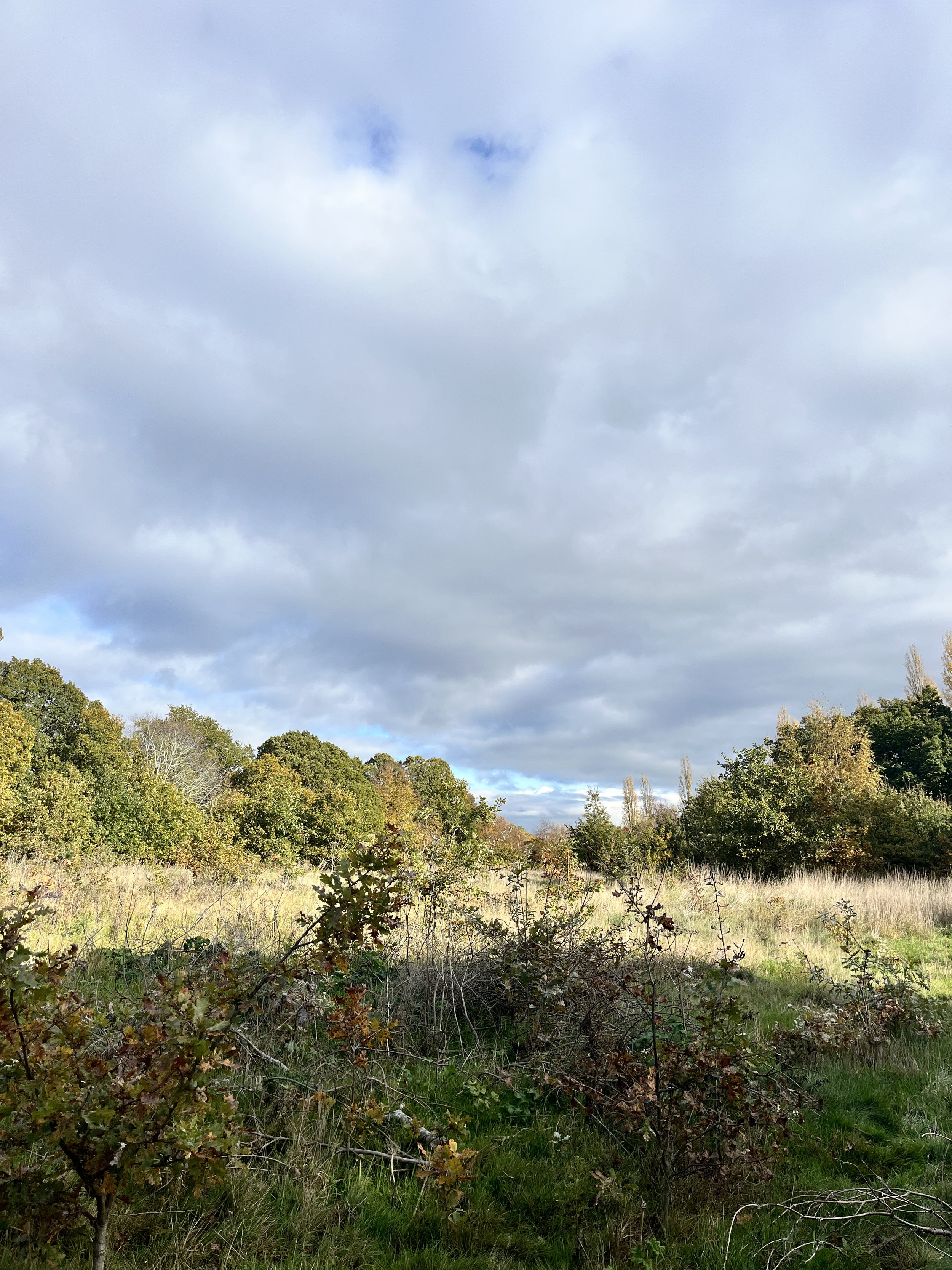 BournePark_ Ipswich_9938.JPG