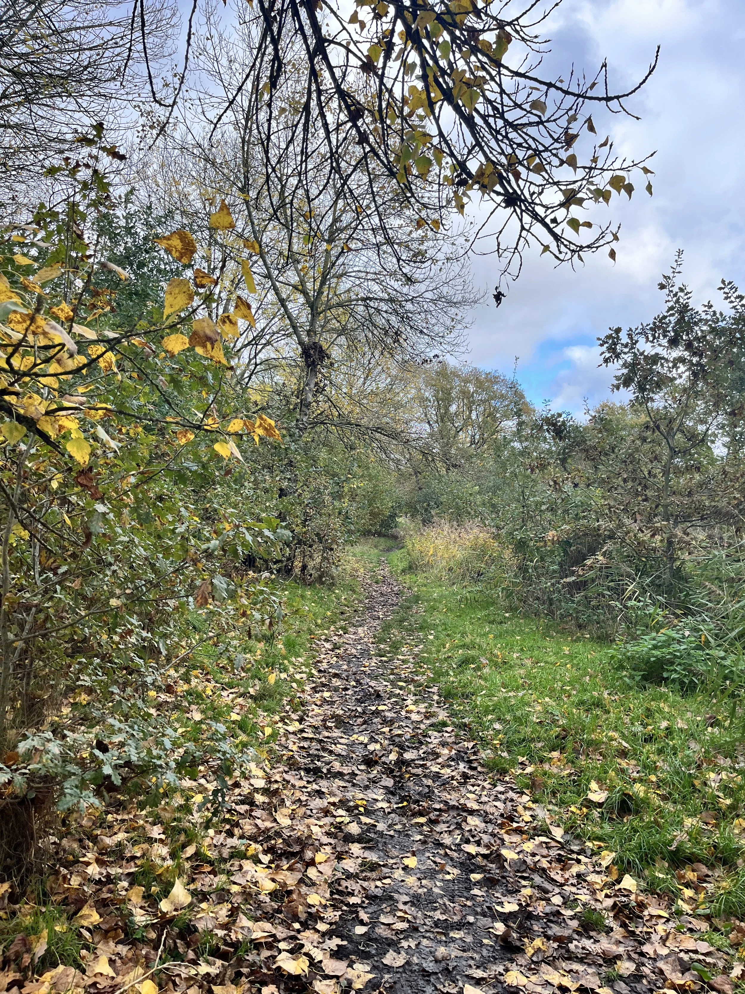 BournePark_ Ipswich_9954.JPG