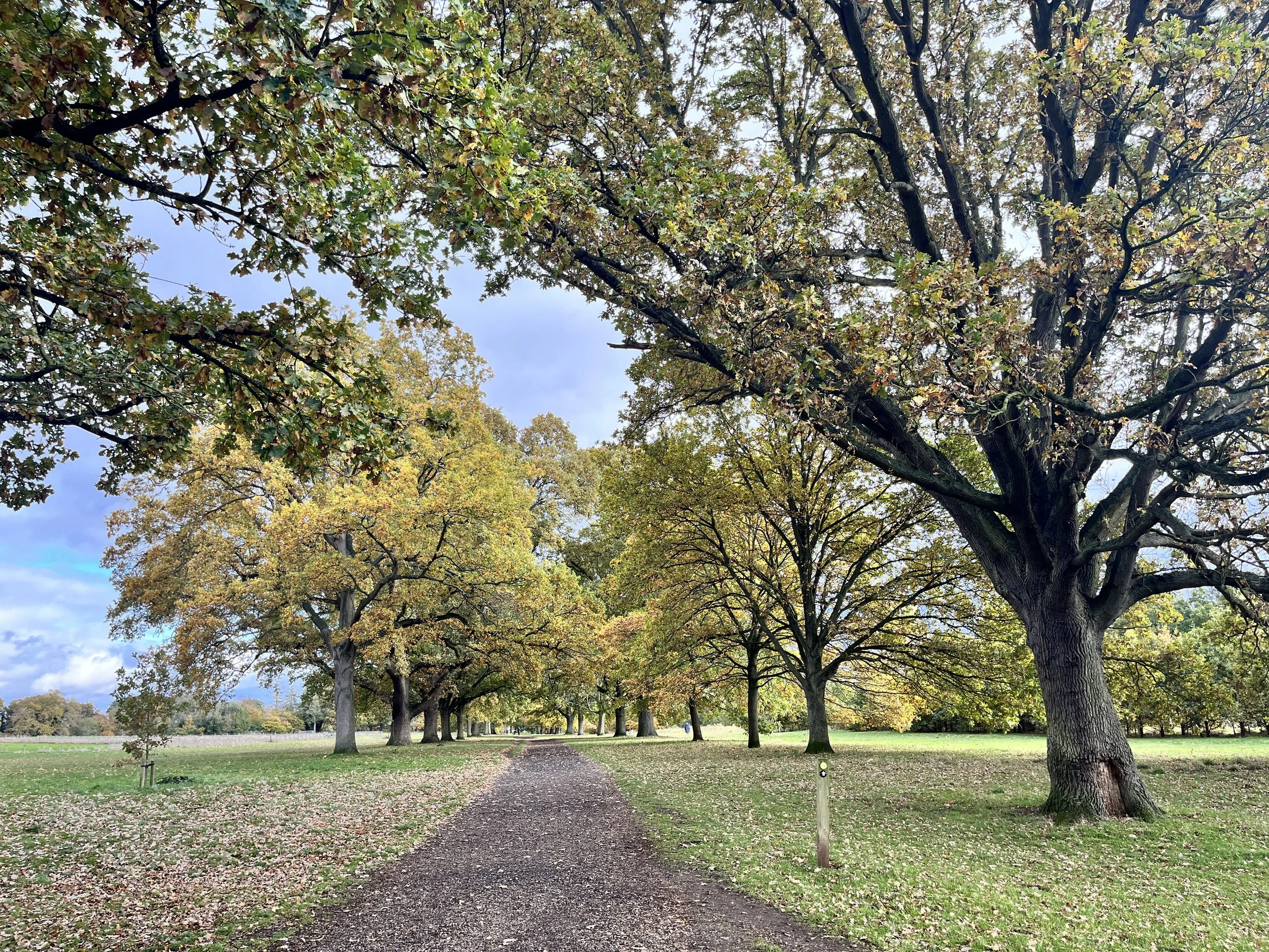 Bourne Park, Ipswich