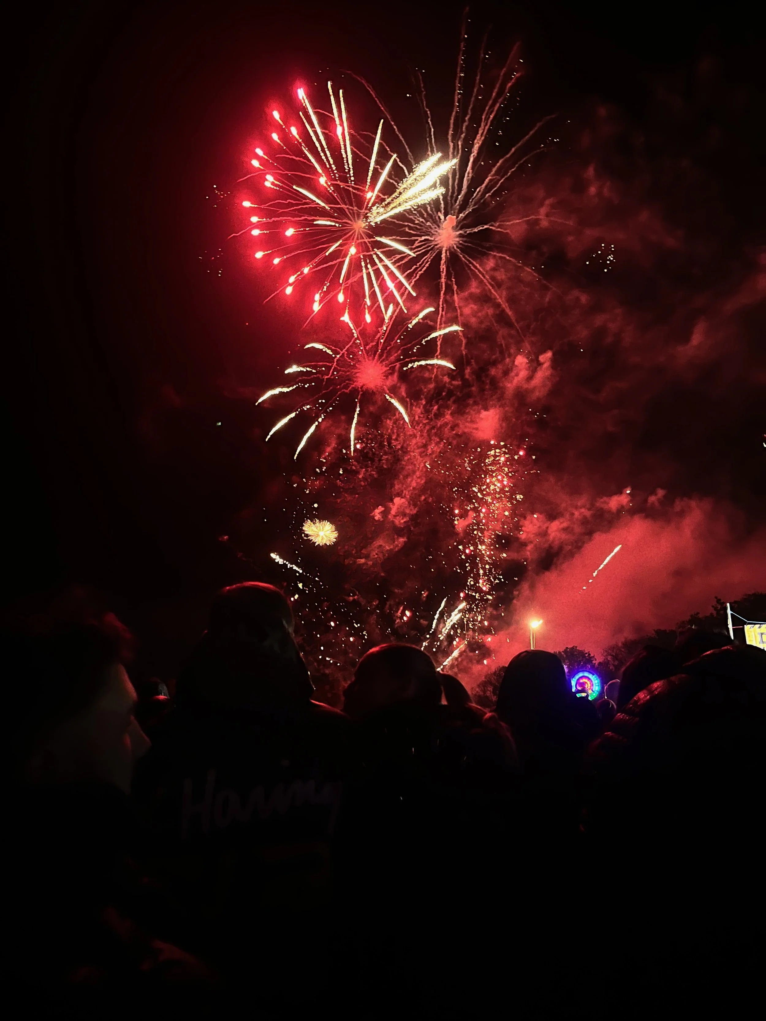 Fireworks in the park