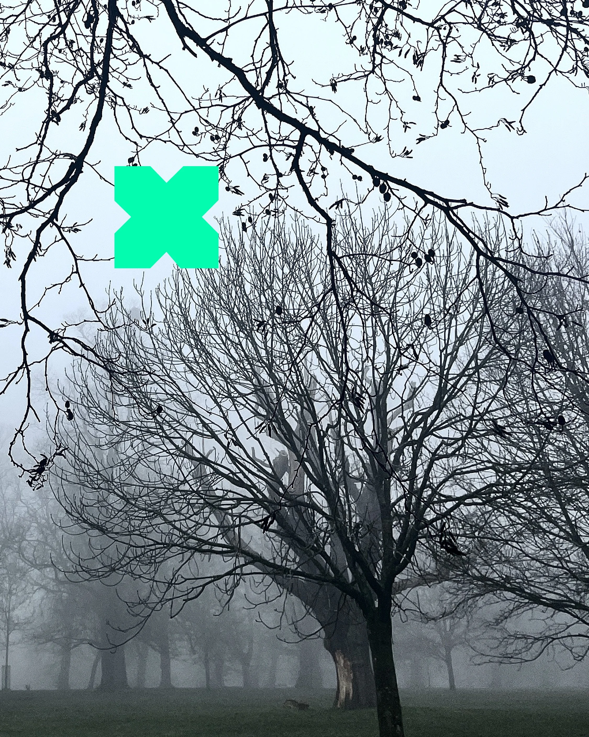 WINTER PARKS CHALLENGE 