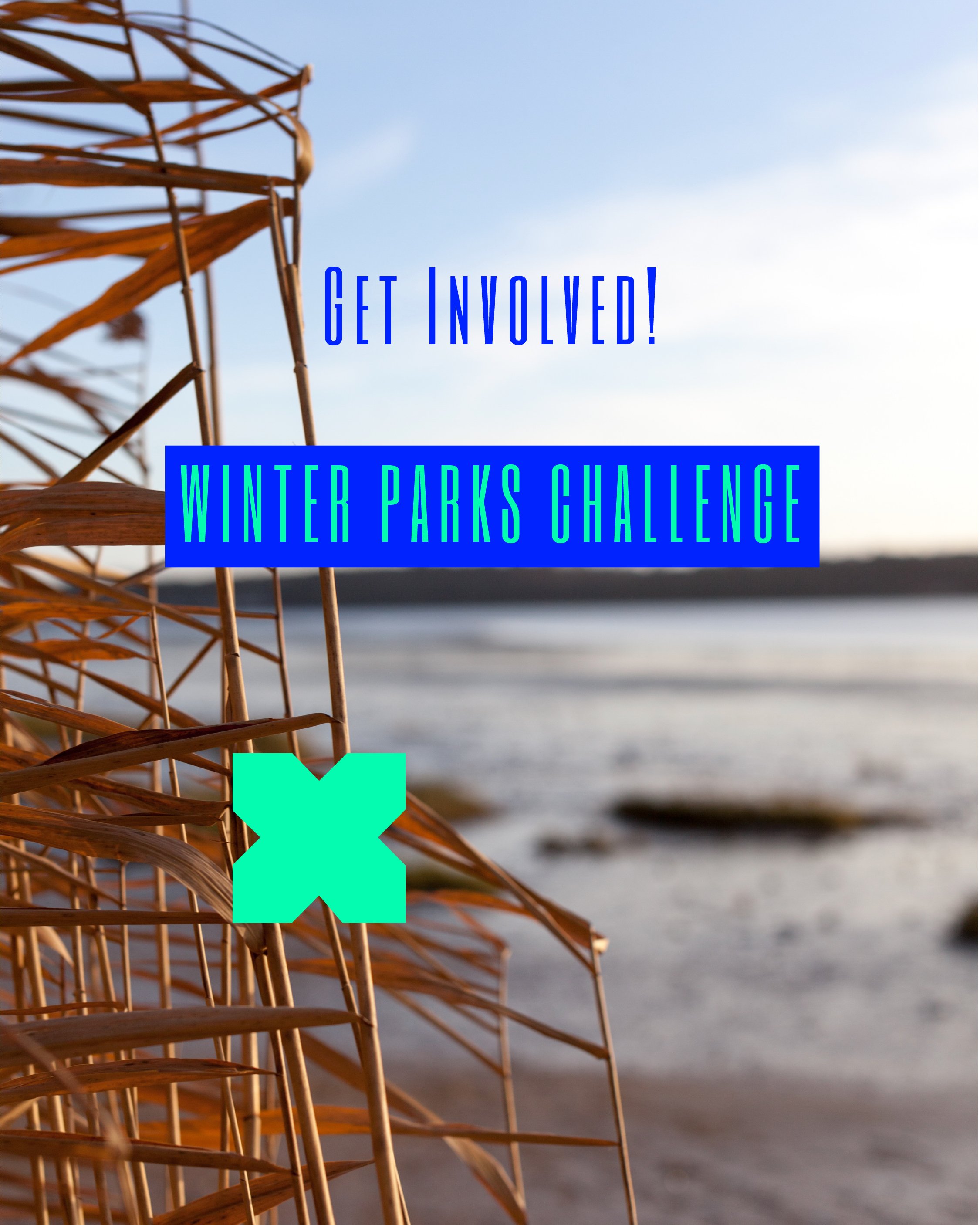 ParkLifeIpswich challenge-03.jpg