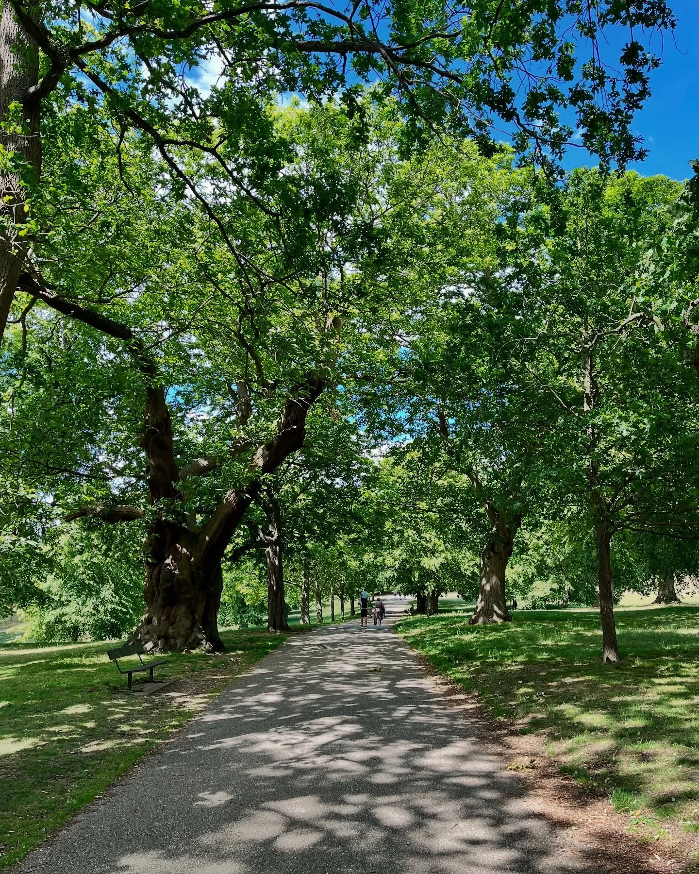 The parks were full of families this sunny weekend. Yet a month after the ITFC celebrations, the blue-and-white confetti remains clearly visible. With rain on the way, perhaps it will finally begin to break down. 💙🤍