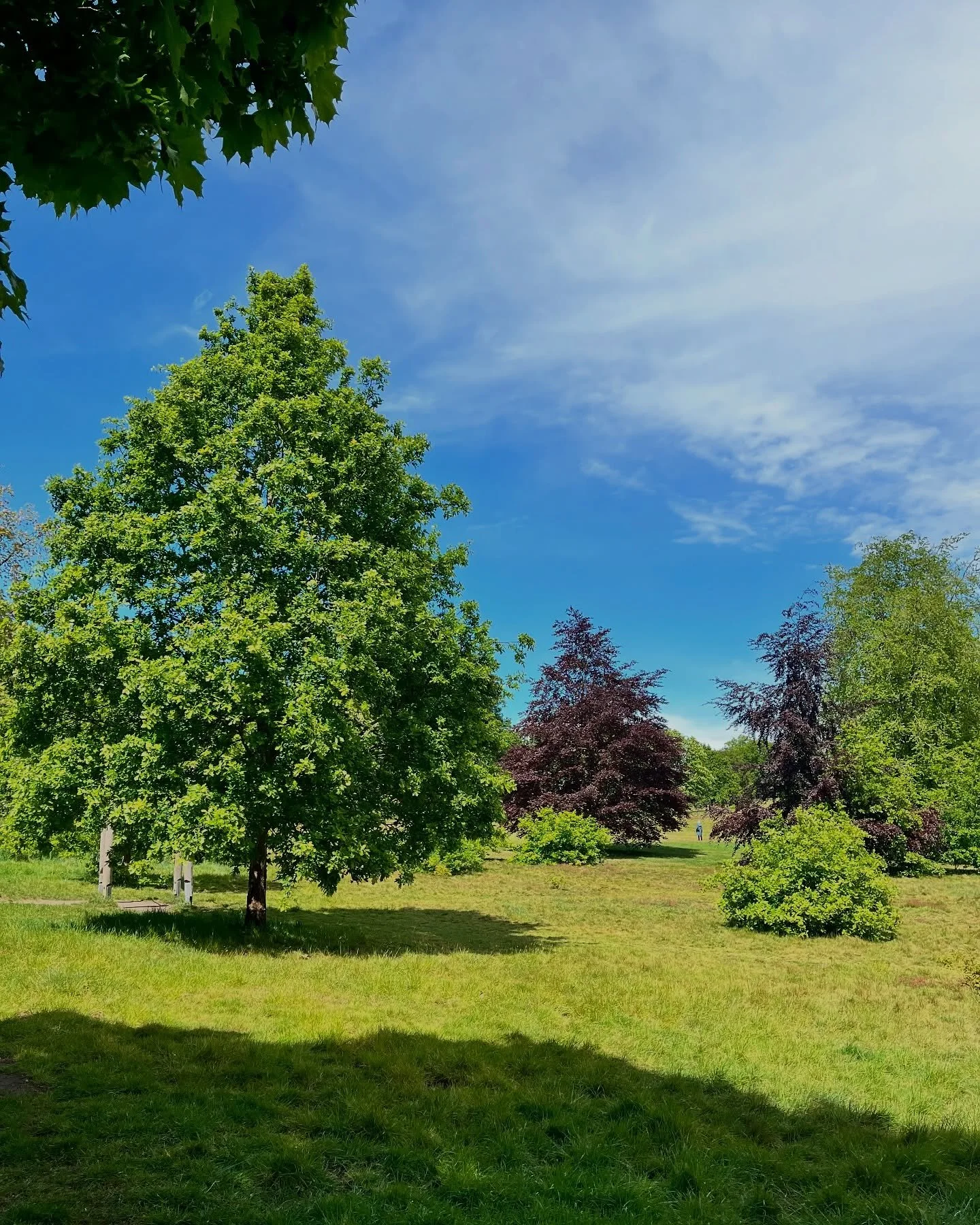Did you know&hellip; After rain, the air becomes cleaner. Dust, smoke, pollen and pollution get washed out, everything smells cleaner and the sky looks brighter and clearer too.
