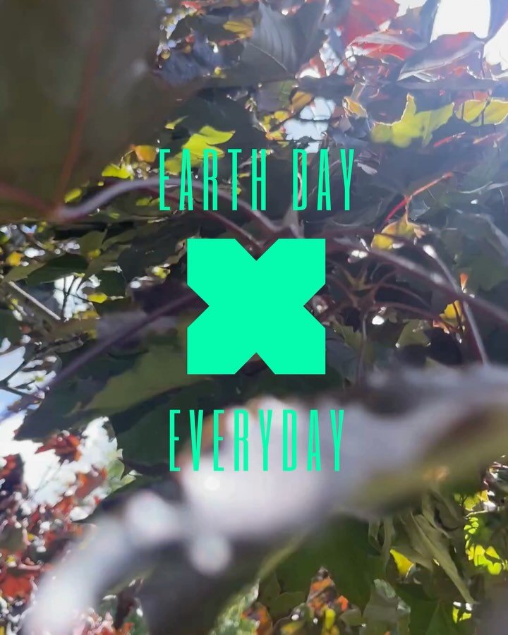 Everyday is earth day! How lucky are we to have so many parks and so much open space in our town! 

Everyday actions add up: caring for green spaces, reducing waste, walking or cycling where you can, being nice to each other and supporting local natu