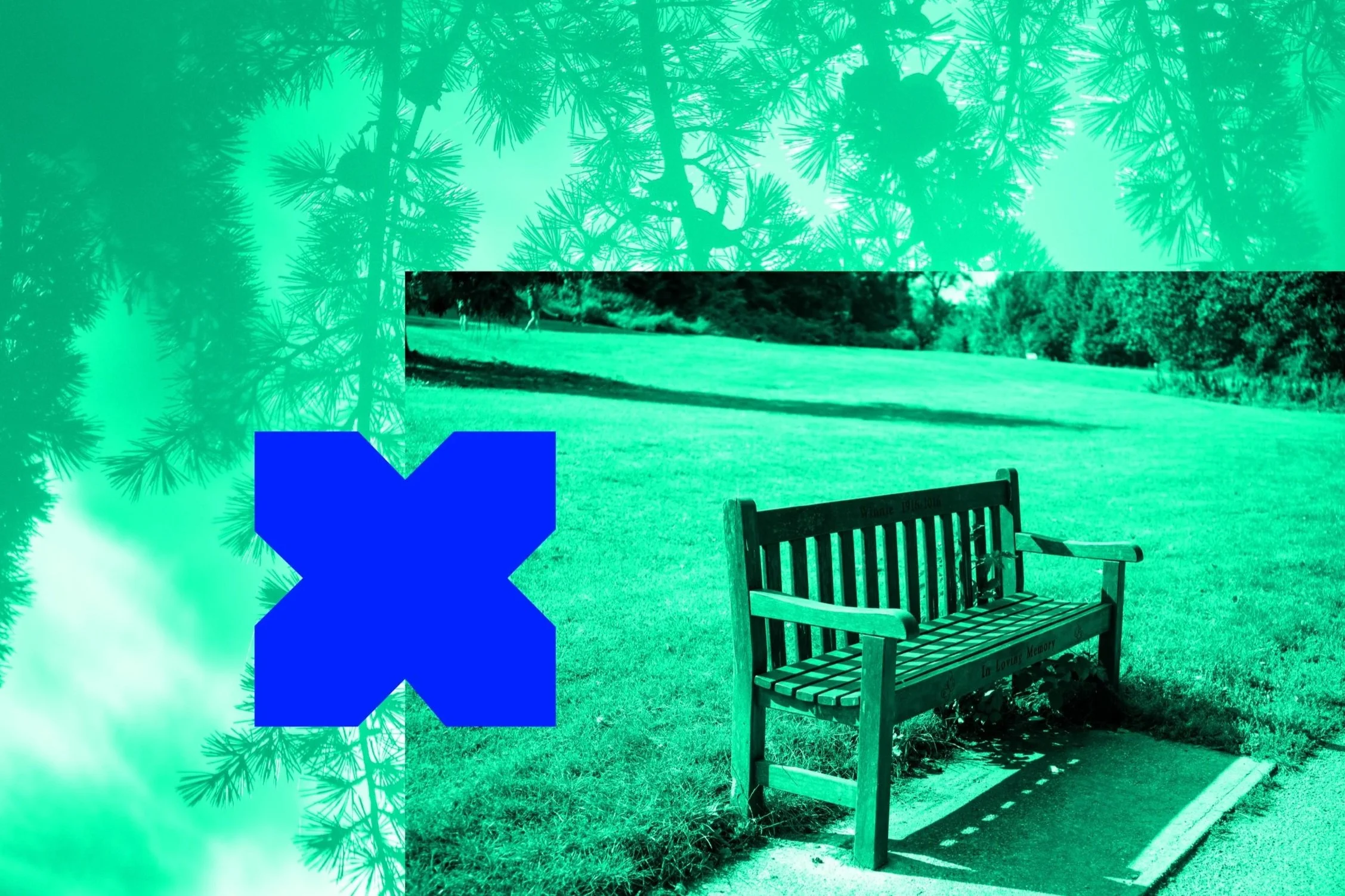 A park with a grass field, a wooden bench, trees, and a blue