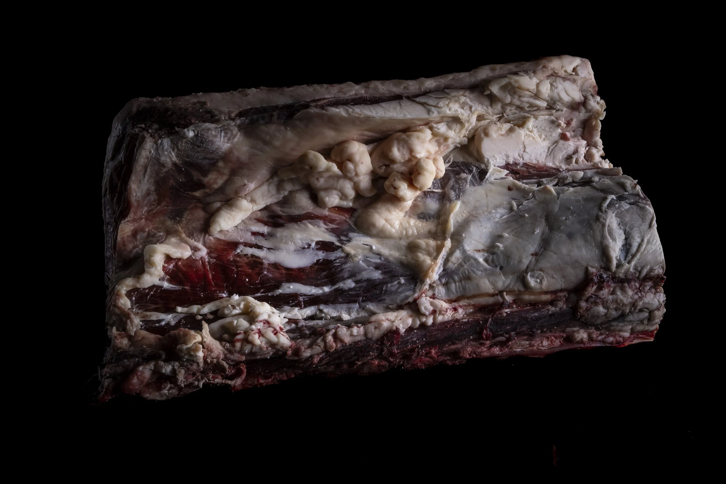 pezzo di carne cruda con tessuti connettivi e tessuti adiposi visibili