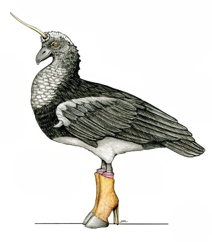 Horned Screamer In Faux Horse Hoof Heels 8/22/2024