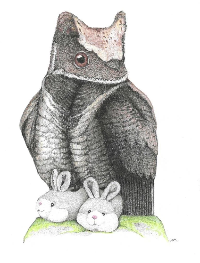 Great Horned Owl In Bunny Slippers 3/4/2020
