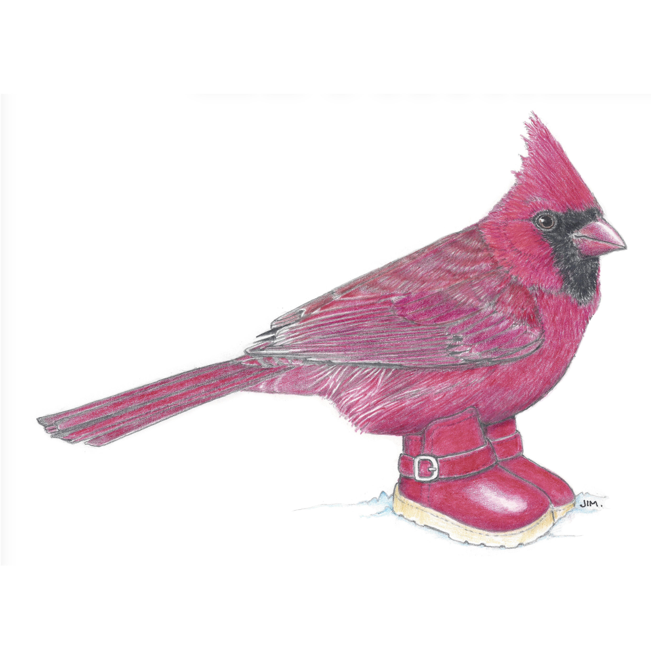 Cardinal In Cowboy Boots 1/2/2025