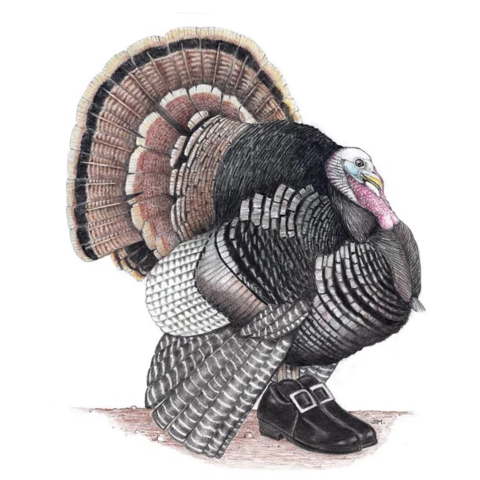 Turkey In Pilgrim Shoes 9/29/2020