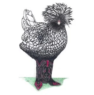 Silver Polish Chicken In Cowboy Boots