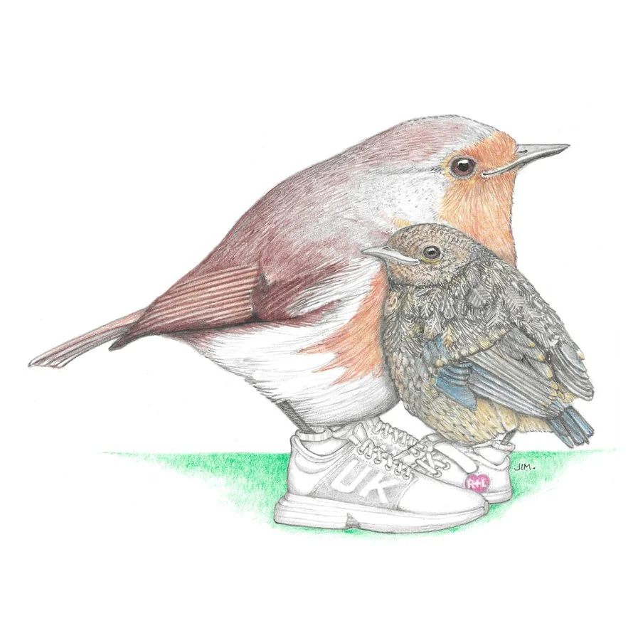 UK Robin Dad And Baby Chick In Tennis Shoes 10/24/2021