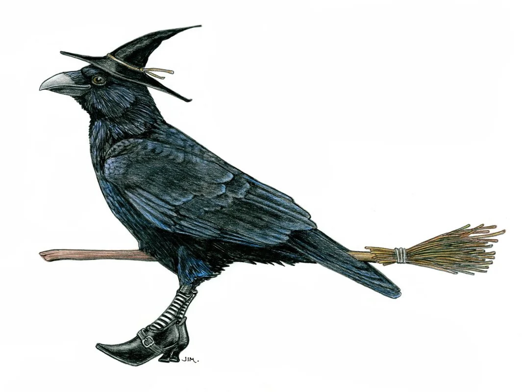Crow In Witches Shoes 6/5/2024