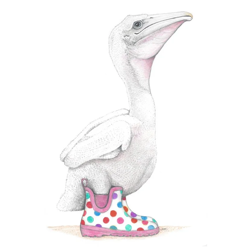 Pelican Chick In Rain Boots 8/8/2021