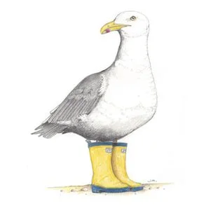 Seagull In Rubber Boots 4/23/2020