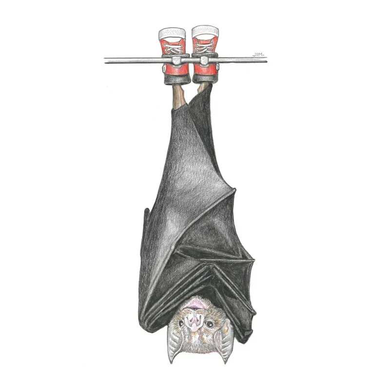 Vampire Bat In Inversion Boots 10/17/2023