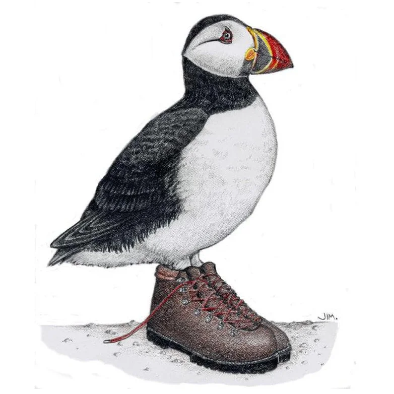 Puffin In Hiking Boots 5/22/2020