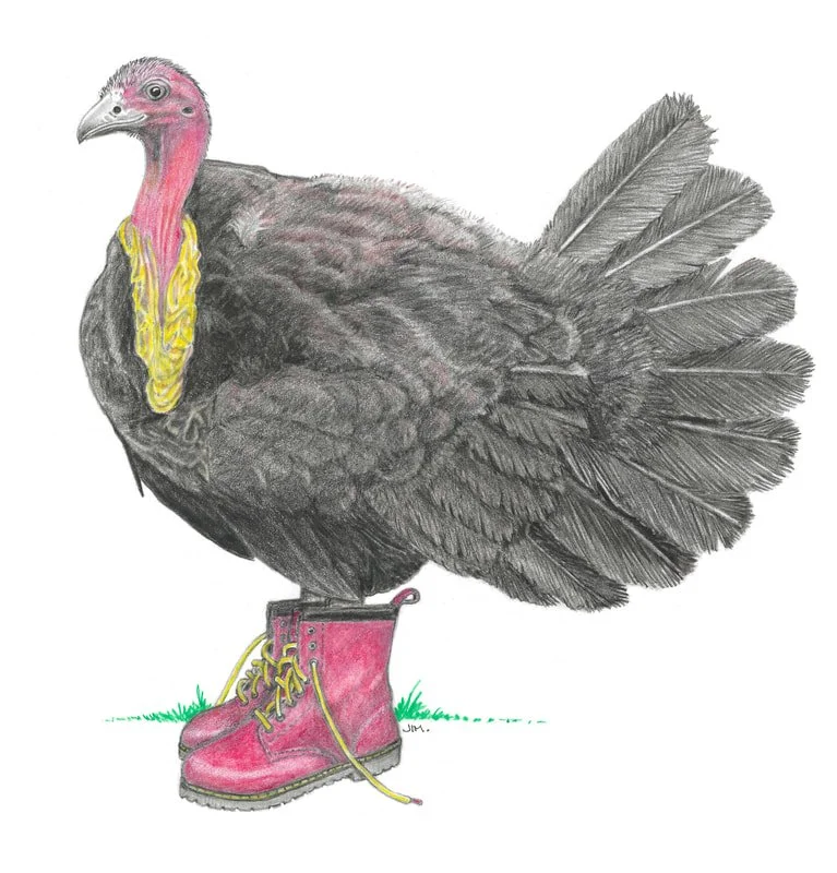 Scrub Turkey In Red Boots 11/24/2021