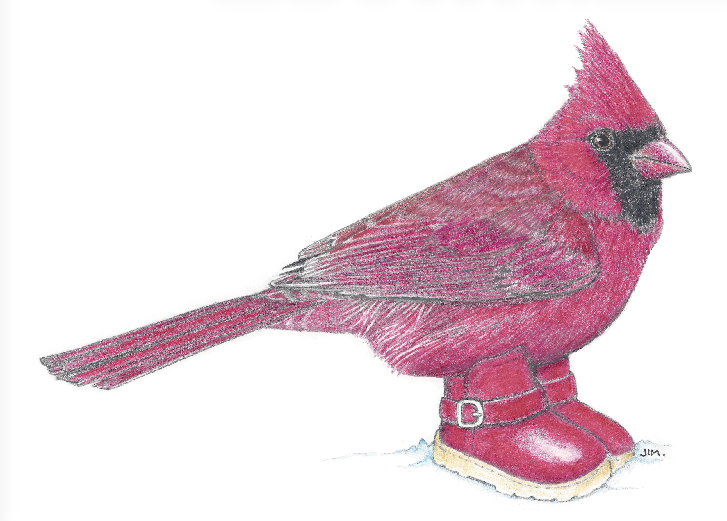 Cardinal In Snow Boots 10/24/2020