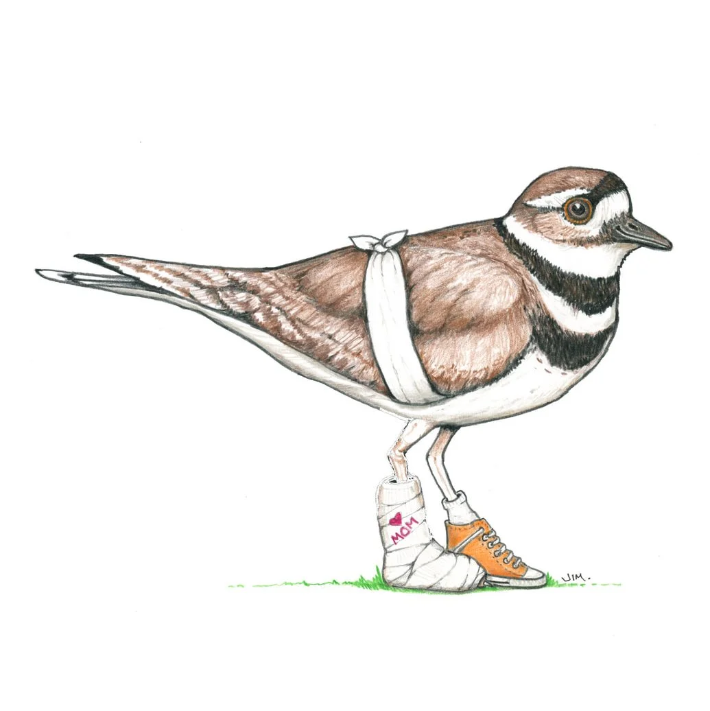 Killdeer In High Tops 1/1/2026