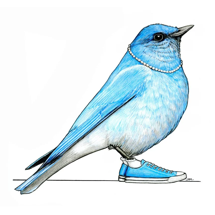 Bluebird In Pearls And Chucks 8/29/2024