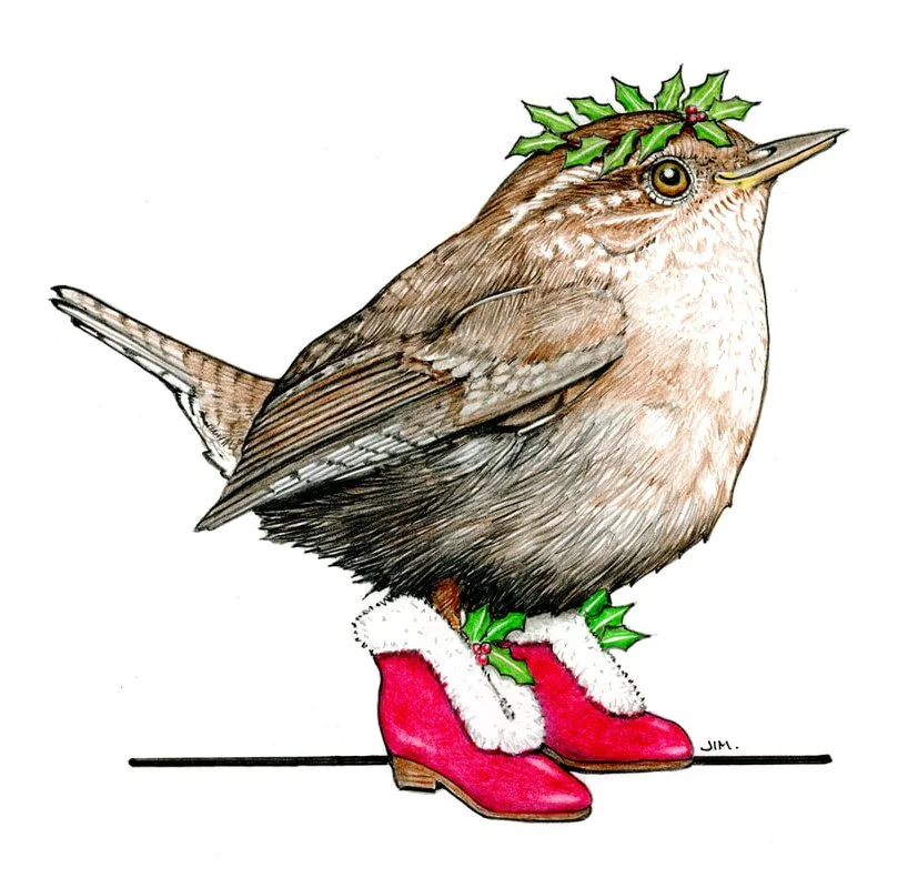 Wren In Winter Holiday Shoes 12/16/2024