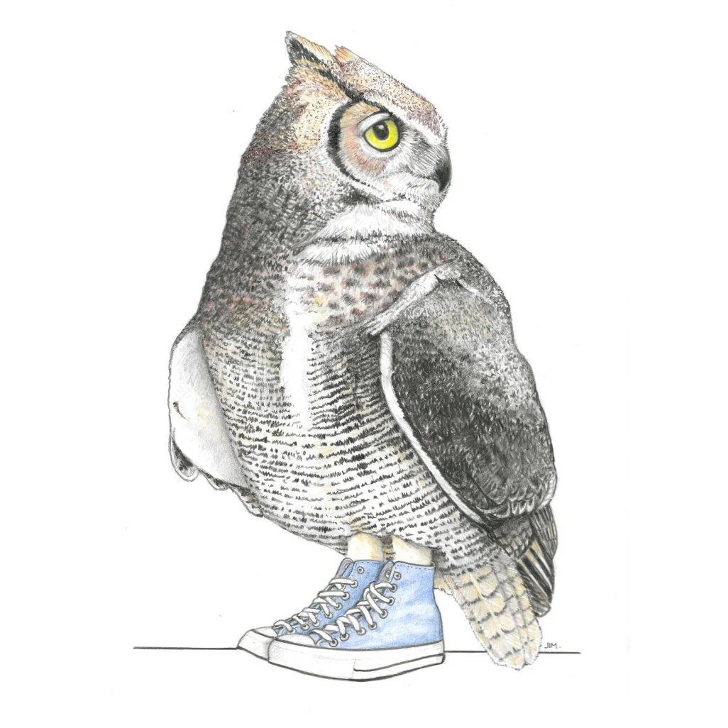 Great Horned Owl In High Tops 2/14/2023
