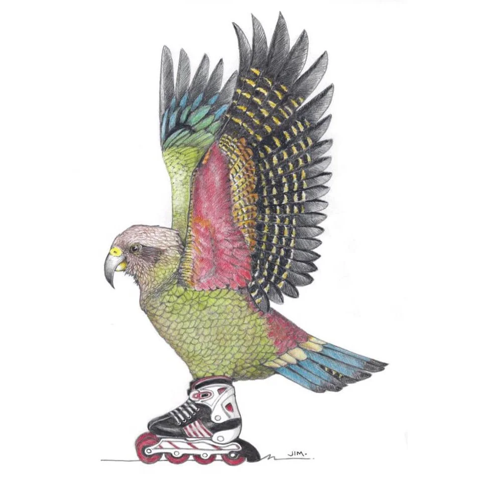 Kea Parrot On Rollerblades 11/18/2020