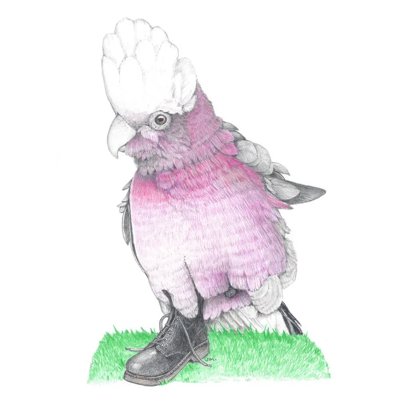 Galah In Doc Martens 9/25/2021