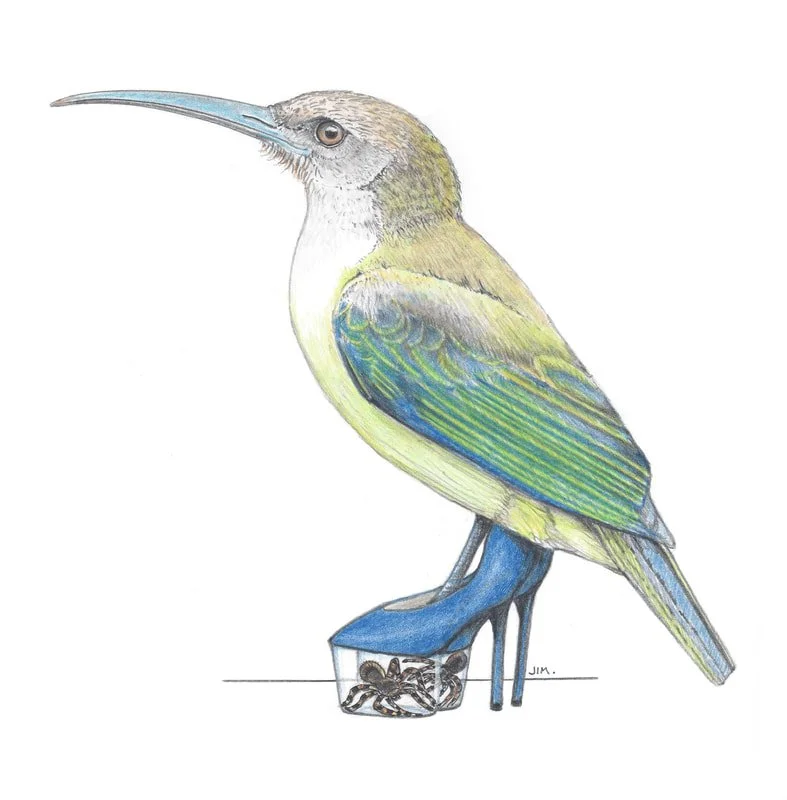 Little Spiderhunter In Terrarium High Heels 9/16/2021