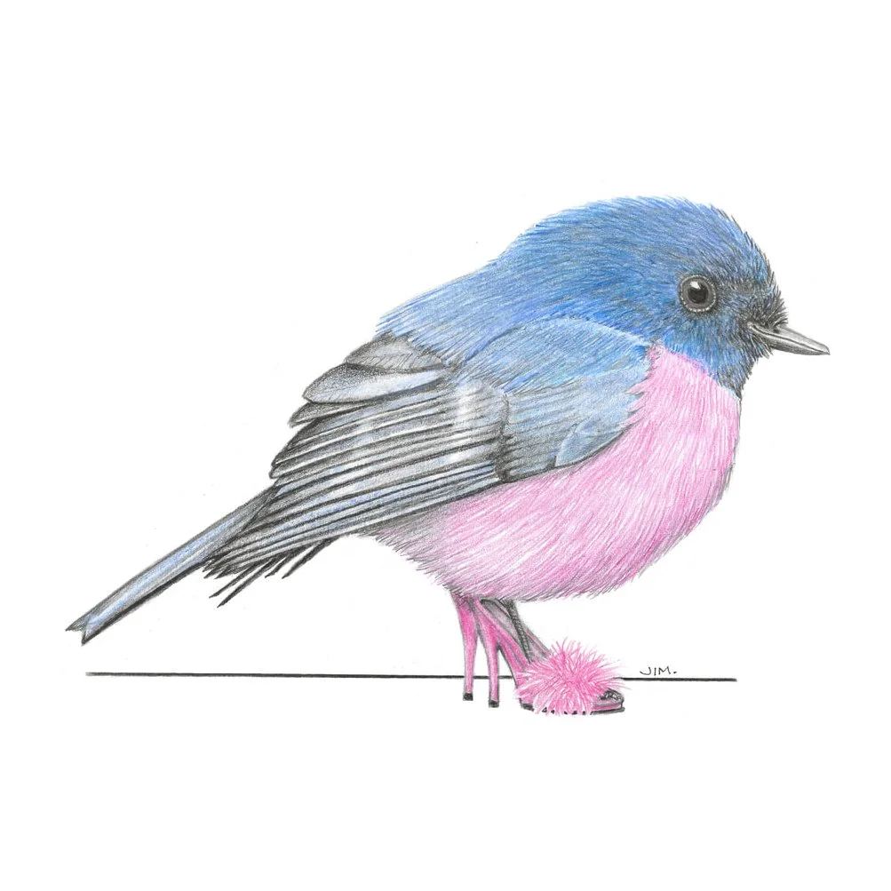 Pink Robin In Marabou Slippers 2/21/2022