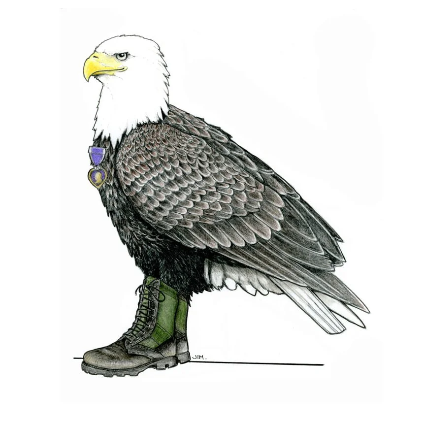 Bald Eagle In Combat Boots 10/27/2024