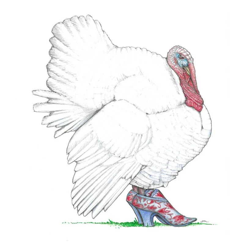 Broad Breasted White Turkey In 18th Century High Heels 11/18/2022