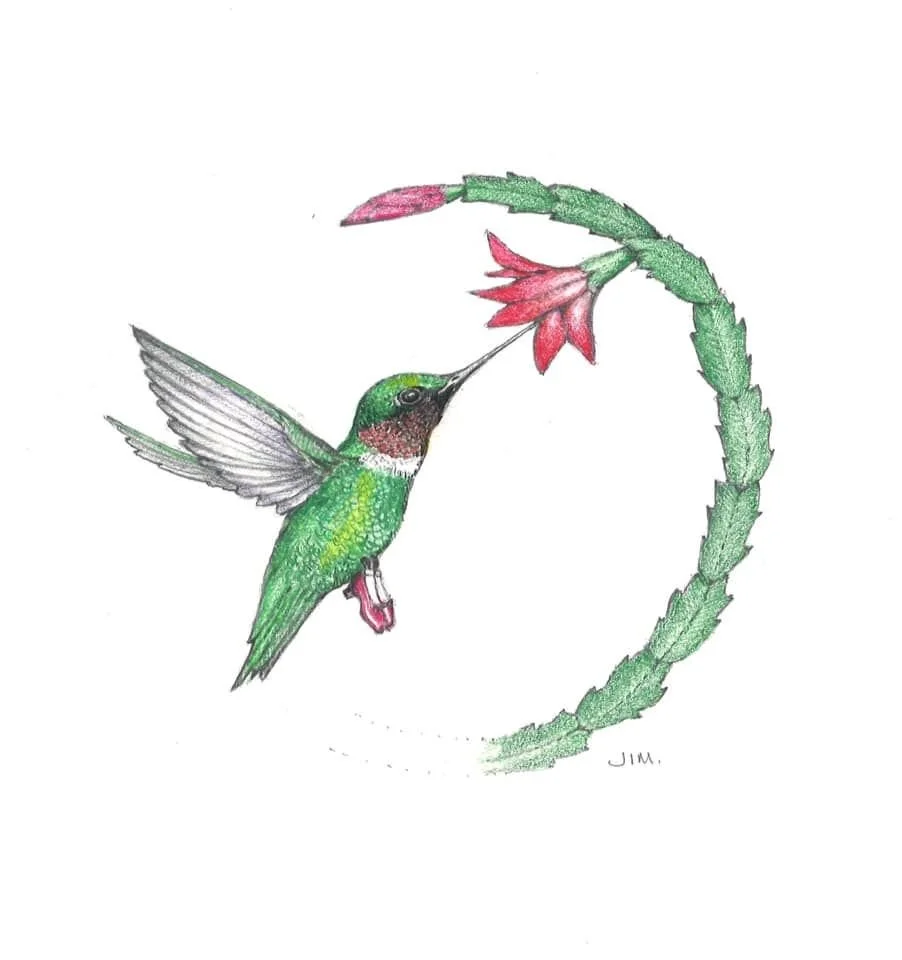 Hummingbird In Ruby Slippers 12/13/2019