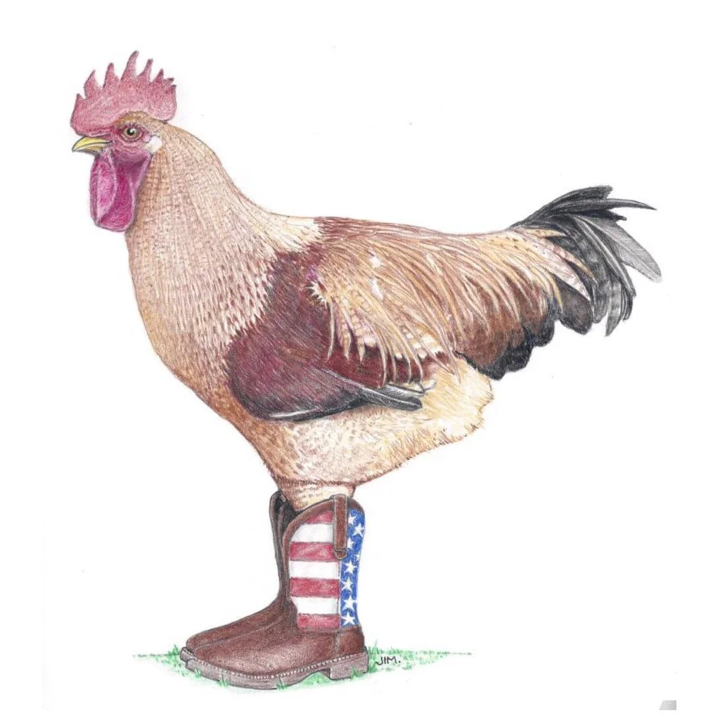 Rooster In US Flag Boots 2/19/2021