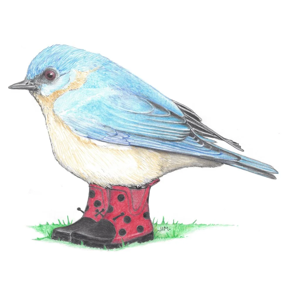 Bluebird In Ladybug Shoes 3/24/2021