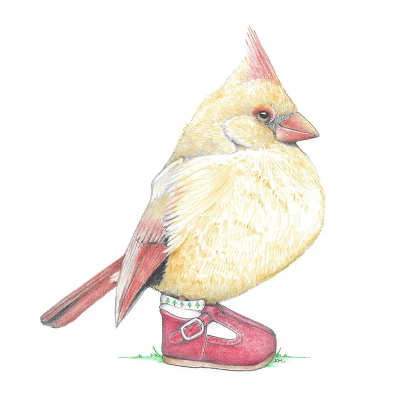 Cardinal Youngster In Buckle Shoes 7/15/2021