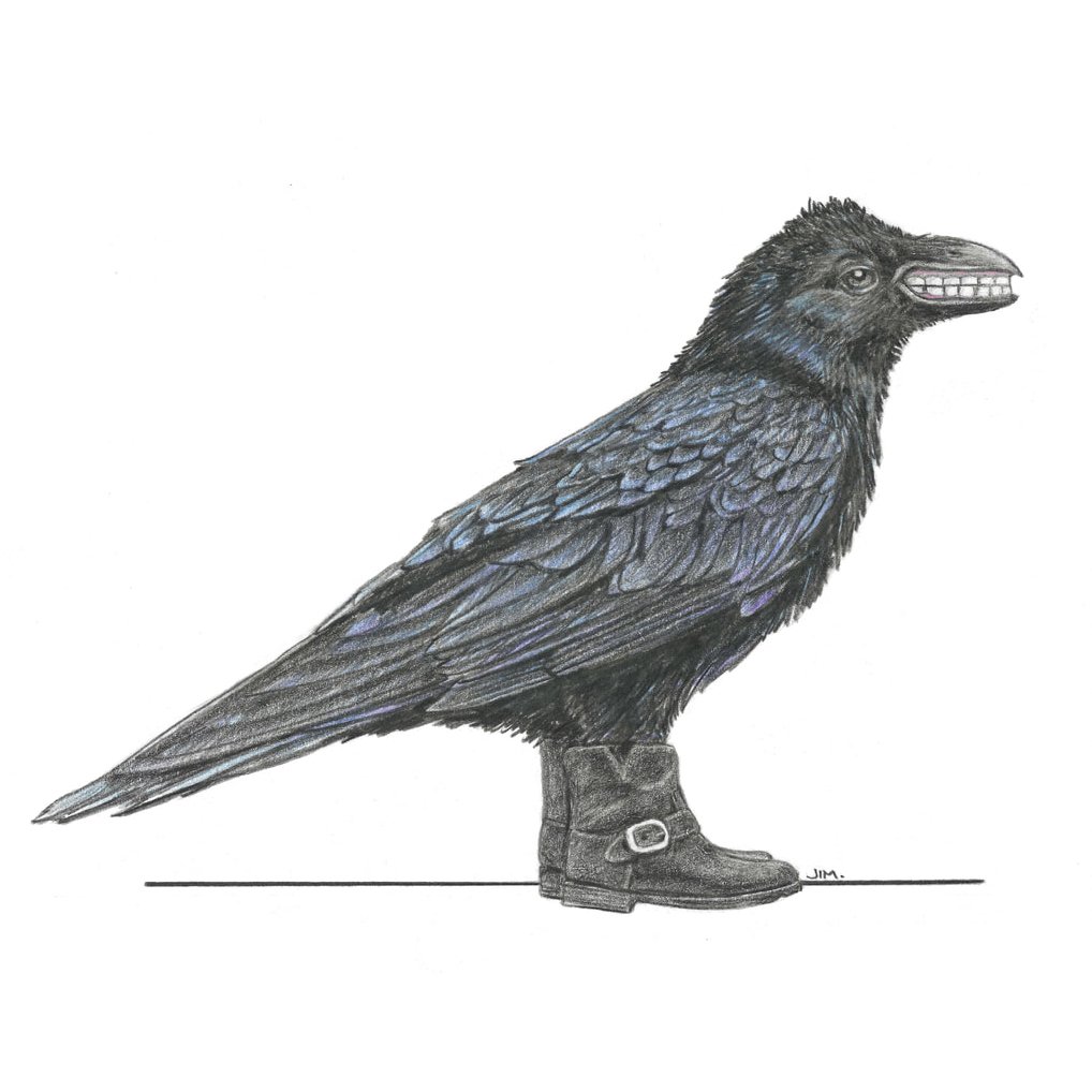 Crow With False Teeth In Engineer Boots 7/5/2023