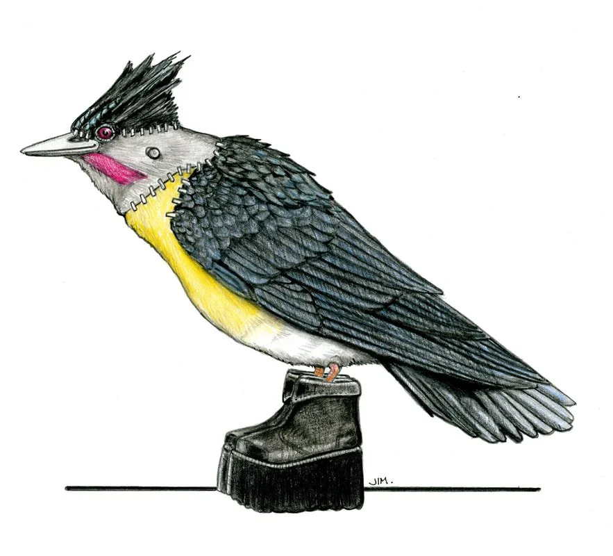 Frankenstein’s Bird 15 June 2026
