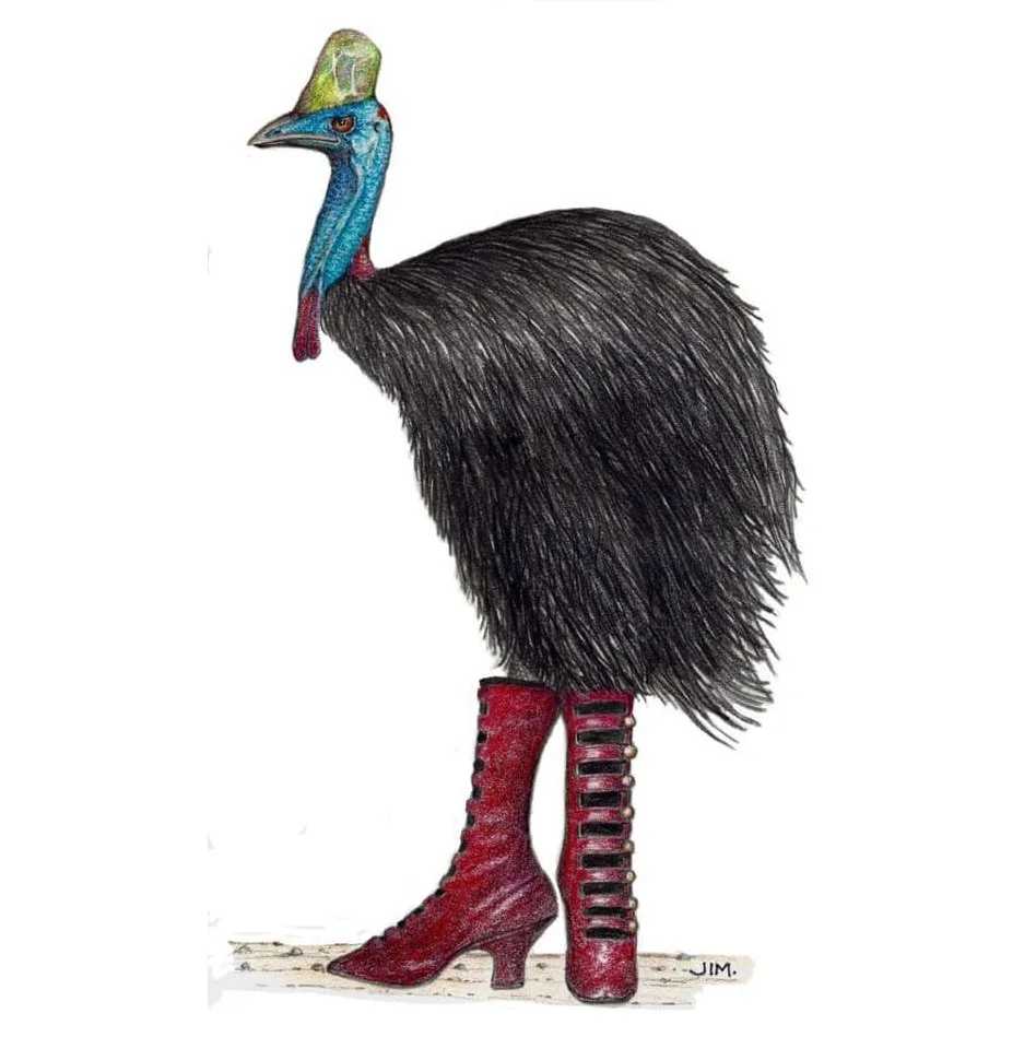 My Cassowary In Victorian Boots 6/10/2020