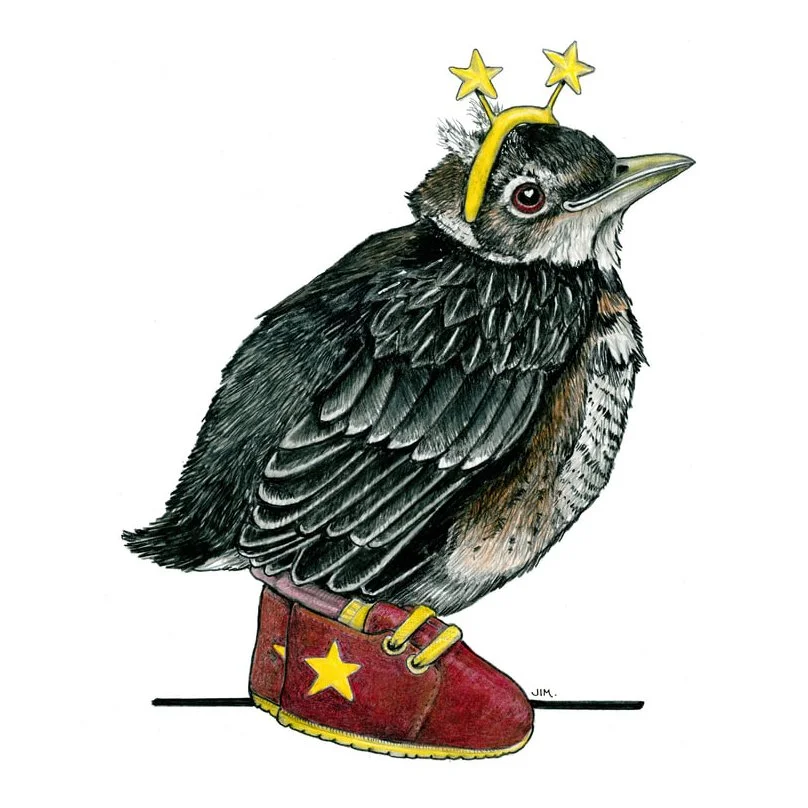 Happy New Year! Baby Robin In Toddler Shoes 12/26/2025