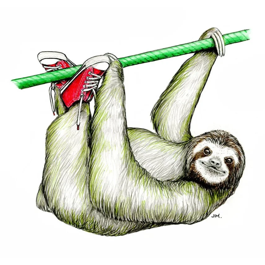 My Sloth In Low Top Sneakers 8/10/2024