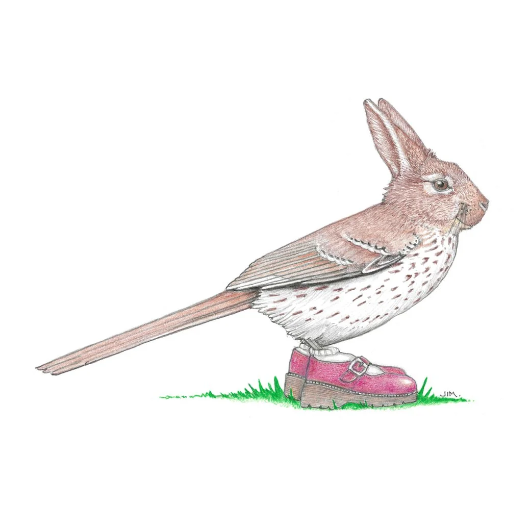 Bird Bunny In Buckle Shoes 12/10/2022