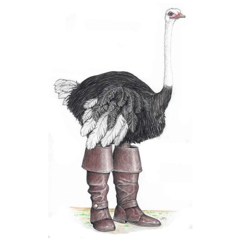 My Ostrich In Musketeer Boots 7/25/2020