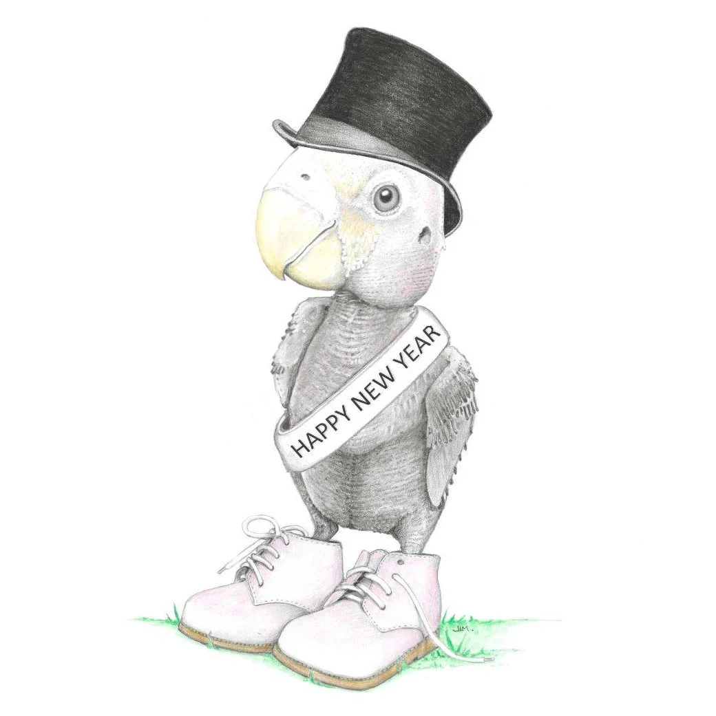 Baby Parrot In Toddler Shoes 5/14/2021
