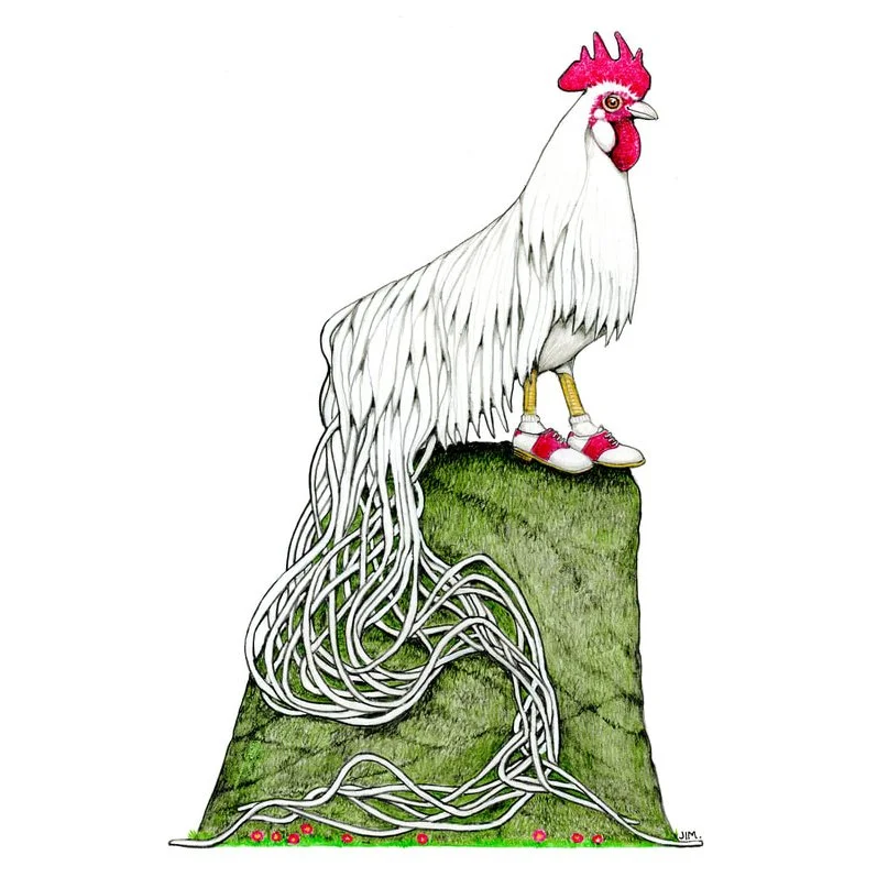 Onagadori Rooster In Saddle Shoes 6/22/2025